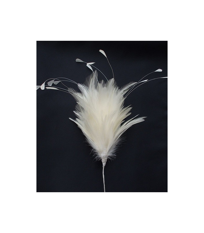 ROOSTER FEATHERS POM