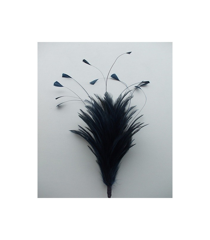 POMO DE PLUMAS DE GALLO
