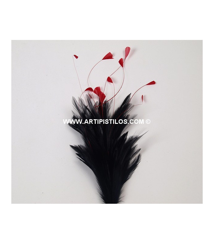 POMO DE PLUMAS DE GALLO