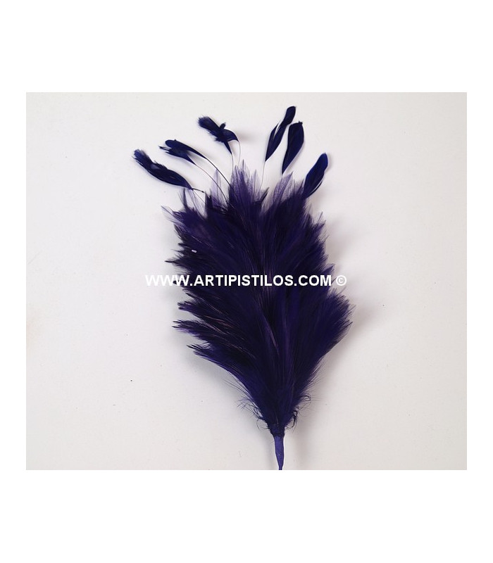 POMO DE PLUMAS DE GALLO