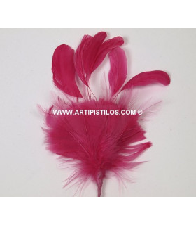 Montaje Plumas Ganso/antena Gallo Fucsia 10 X 10 Cms. - de colores