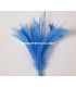 POMO DE PLUMAS DE OCA/GALLO