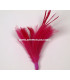 GOOSE/ROOSTER FEATHERS POM