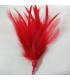 GOOSE/ROOSTER FEATHERS POM