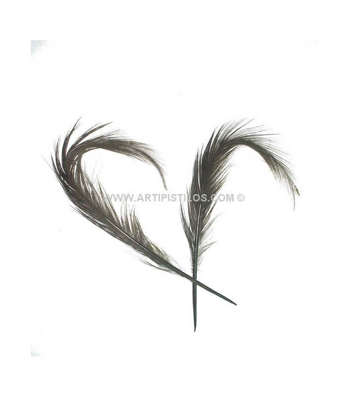 PACK DE 2 PLUMAS DE FAISÁN QUEMADO