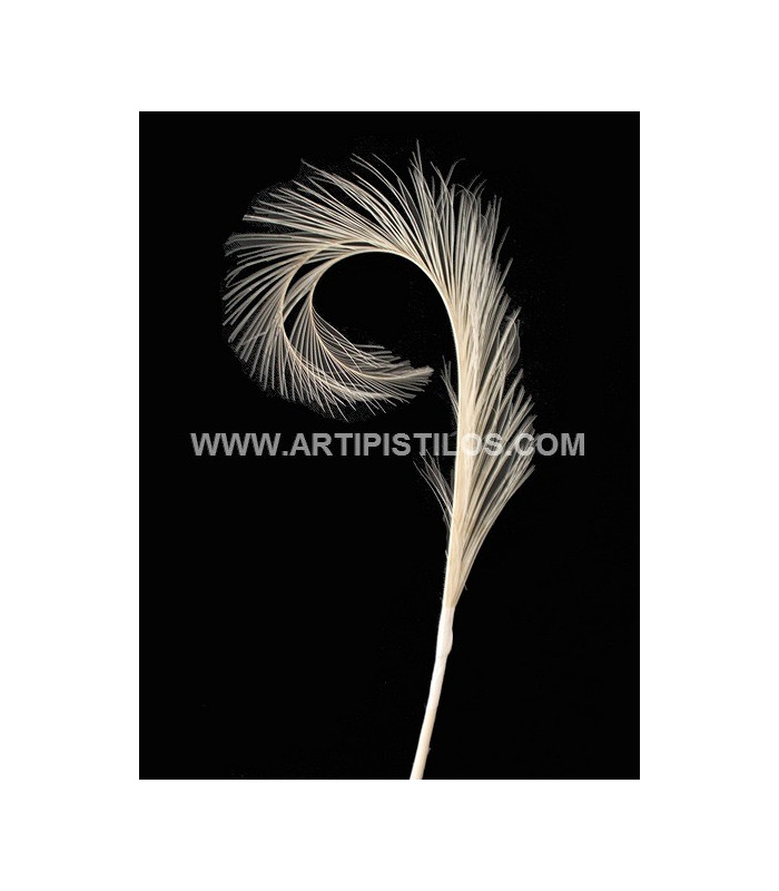 PACK DE 2 PLUMAS DE FAISÁN QUEMADO