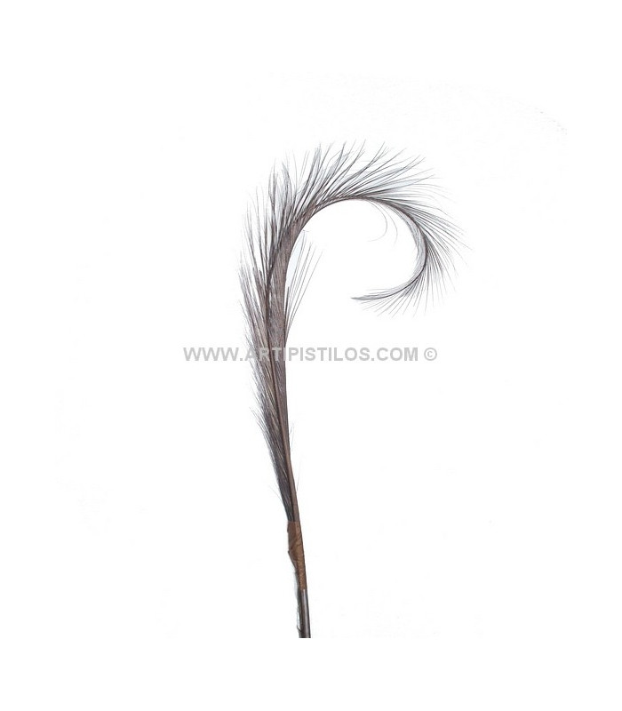 PACK DE 2 PLUMAS DE FAISÁN QUEMADO