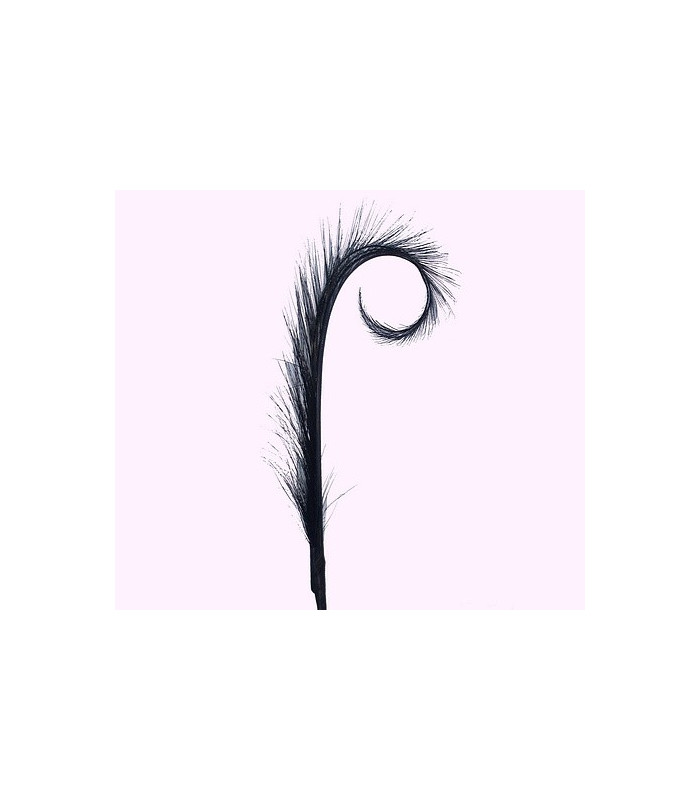 PACK DE 2 PLUMAS DE FAISÁN QUEMADO