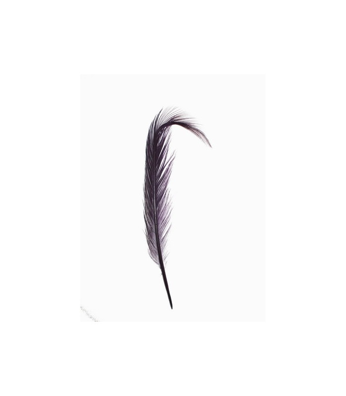 PACK DE 2 PLUMAS DE FAISÁN QUEMADO