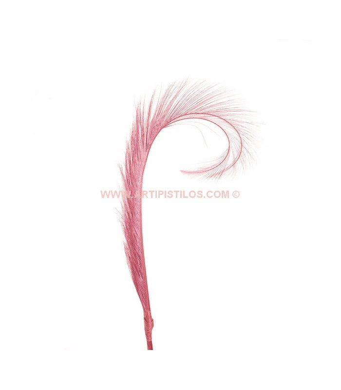 PACK DE 2 PLUMAS DE FAISÁN QUEMADO
