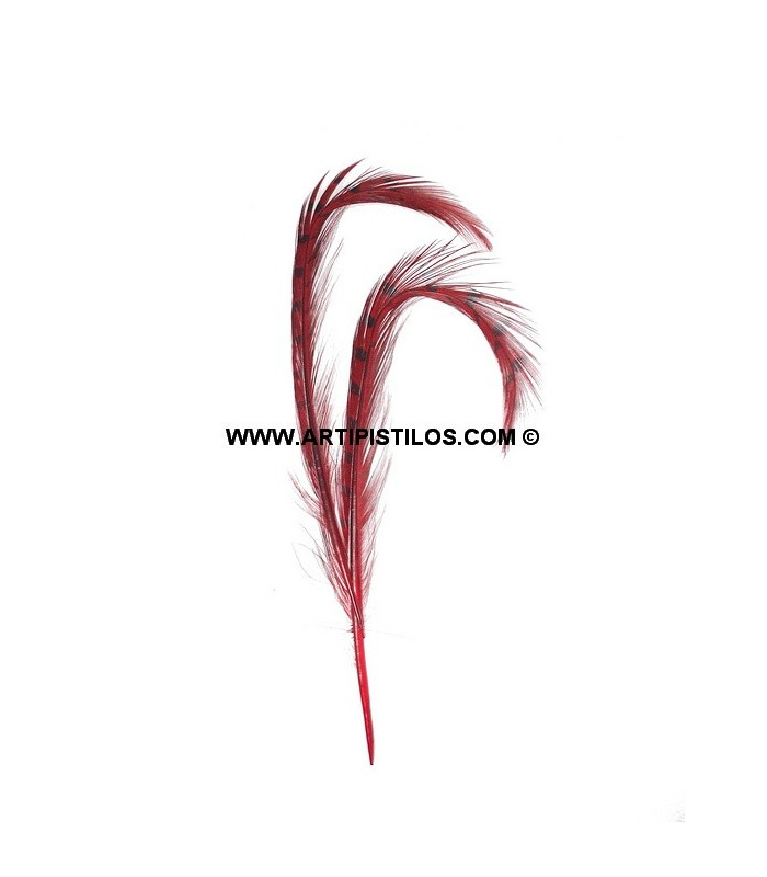 PACK DE 2 PLUMAS DE FAISÁN QUEMADO