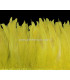 FRINGE FEATHERS COQUE