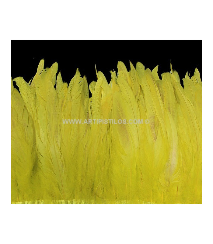 FRINGE FEATHERS COQUE