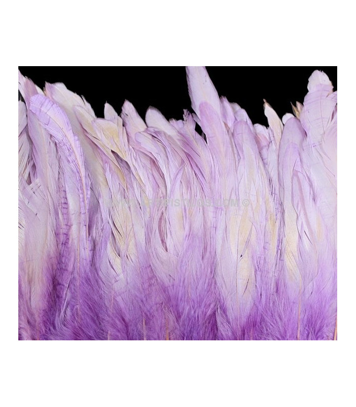 FLECO DE PLUMAS DE COLA DE GALLO