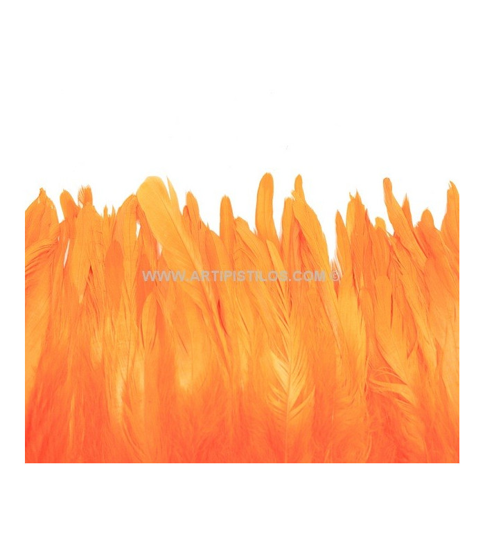 FRINGE FEATHERS COQUE
