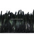 FRINGE FEATHERS COQUE