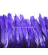 FLECO DE PLUMAS DE COLA DE GALLO