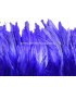 FRINGE FEATHERS COQUE
