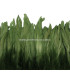FRINGE FEATHERS COQUE