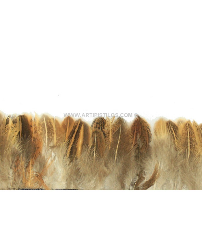 FLECO DE PLUMAS DE FAISAN 10 CMS.