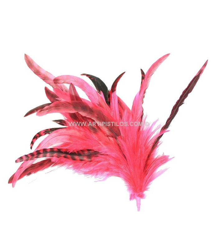 MONTAJE DE PLUMAS
