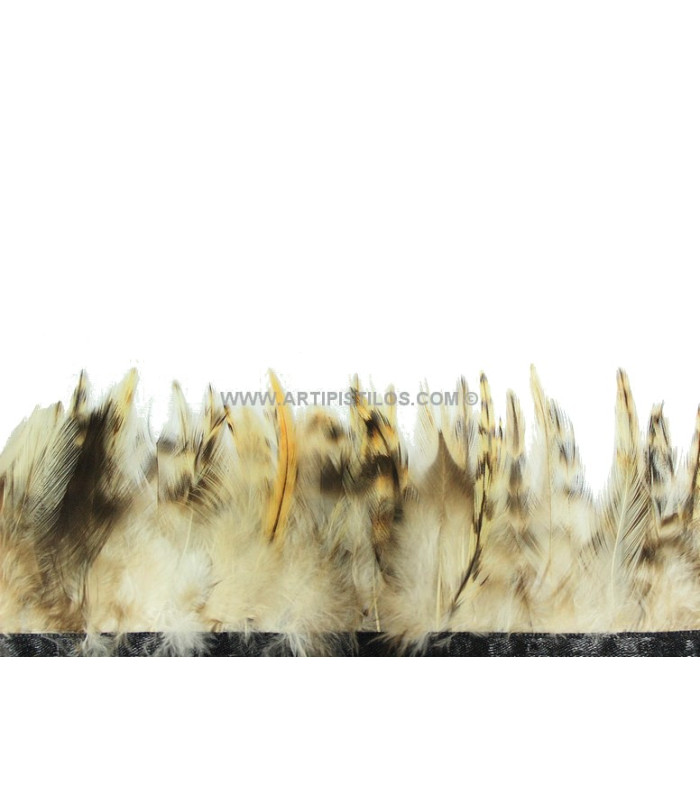 FRINGE OF FEATHERS COQUE 10 CMS.