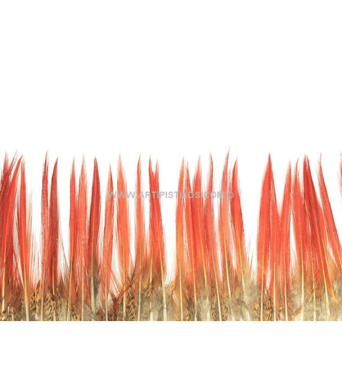 FRINGE PHEASANT FEATHERS