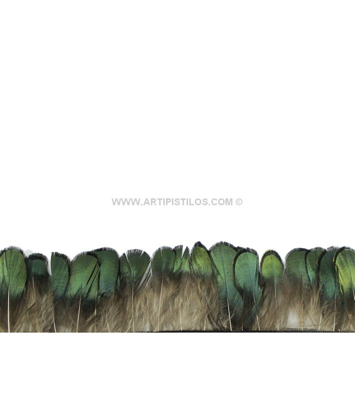 FLECO DE PLUMAS DE FAISAN 10 CMS.