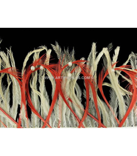FRINGE FEATHERS EMÚ/BIOT