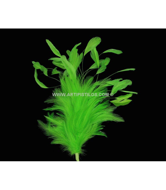 MONTAJE DE PLUMAS