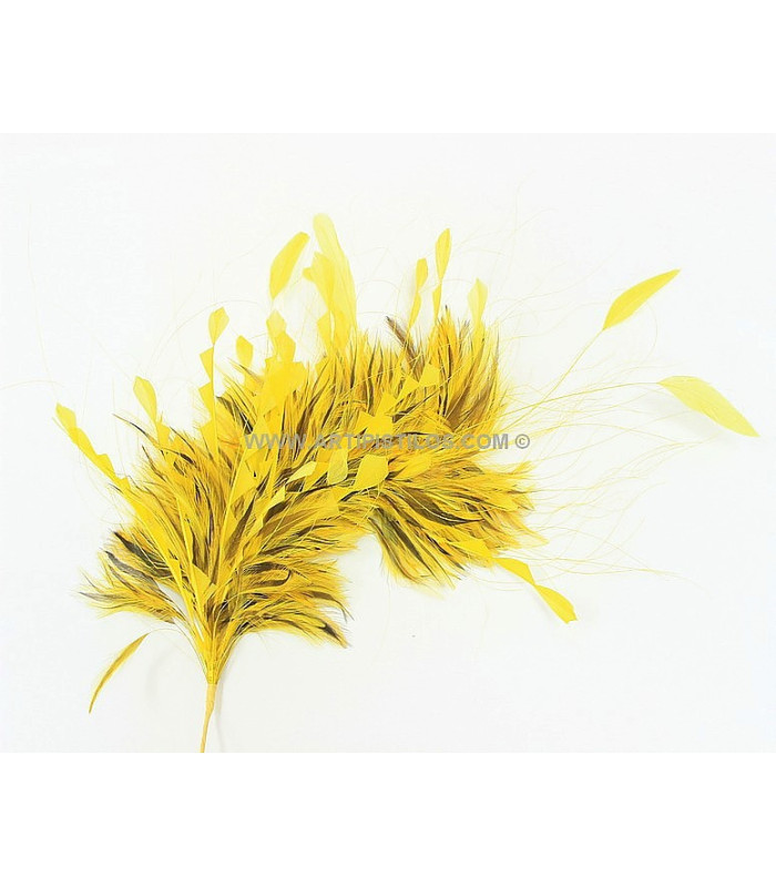 MONTAJE DE PLUMAS 35 X 15 cm