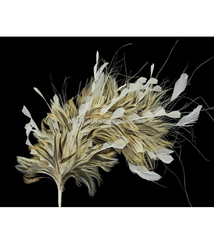 FEATHERS MOUNT