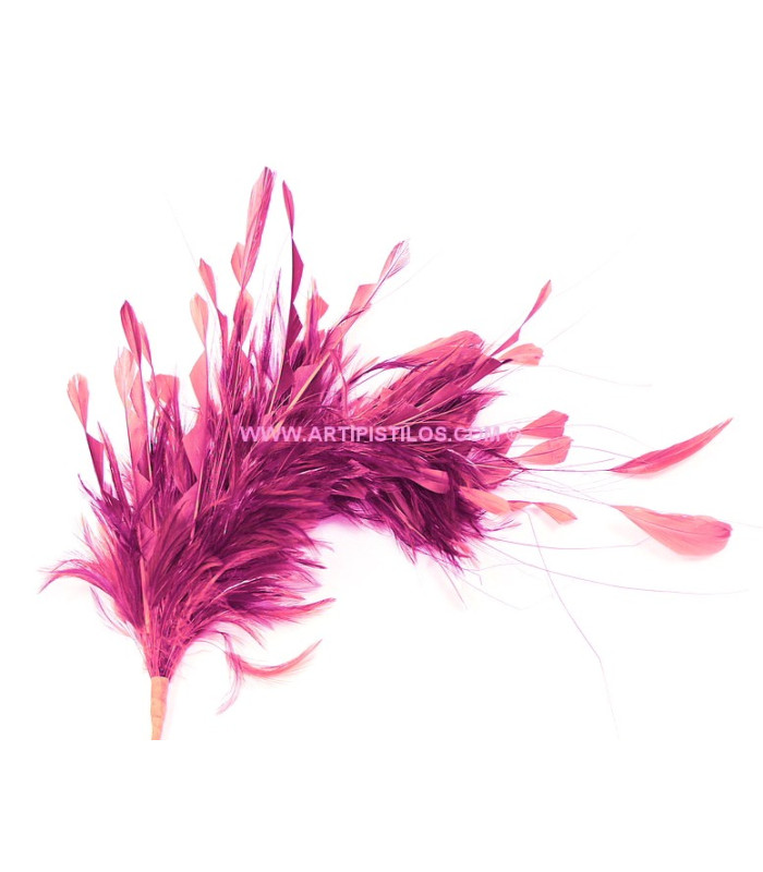 FEATHERS MOUNT