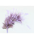 FEATHERS MOUNT