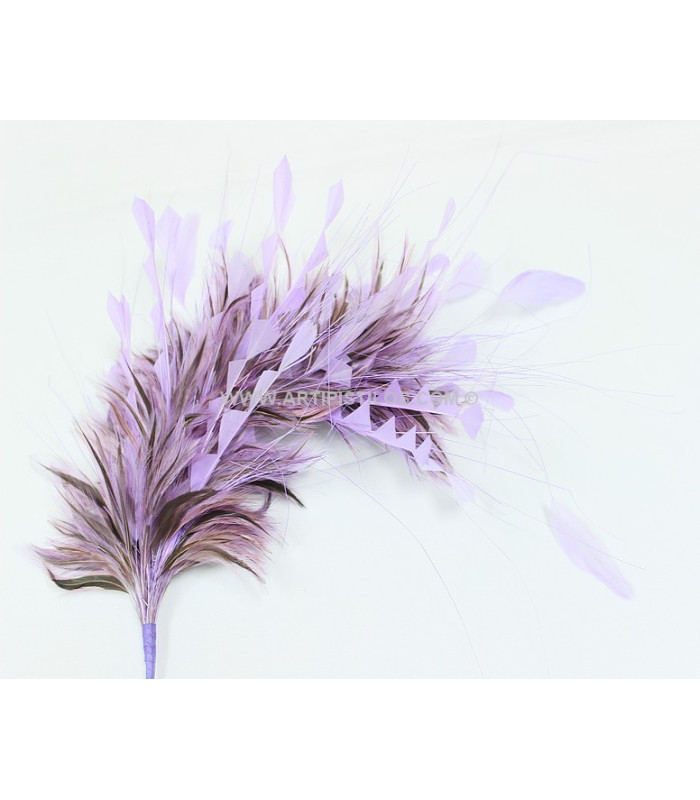 FEATHERS MOUNT