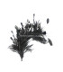 FEATHERS MOUNT