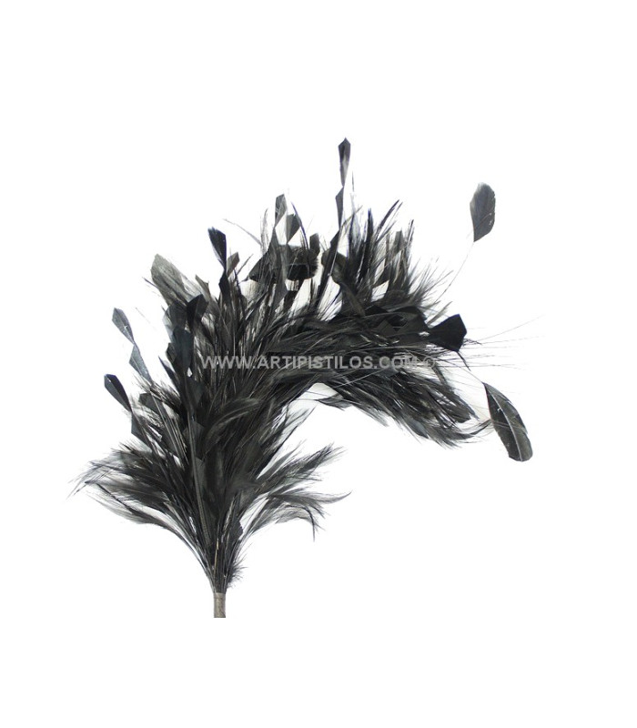 FEATHERS MOUNT