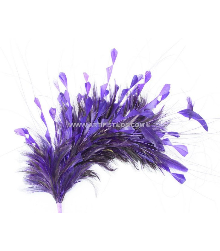 FEATHERS MOUNT