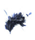 MONTAJE DE PLUMAS 35 x 12 cm