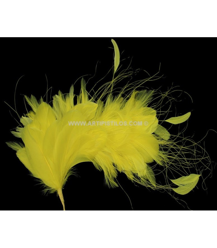 FEATHERS MOUNT 35 x 12 cm
