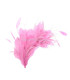 MONTAJE DE PLUMAS 35 x 12 cm
