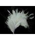 MONTAJE DE PLUMAS 35 x 12 cm