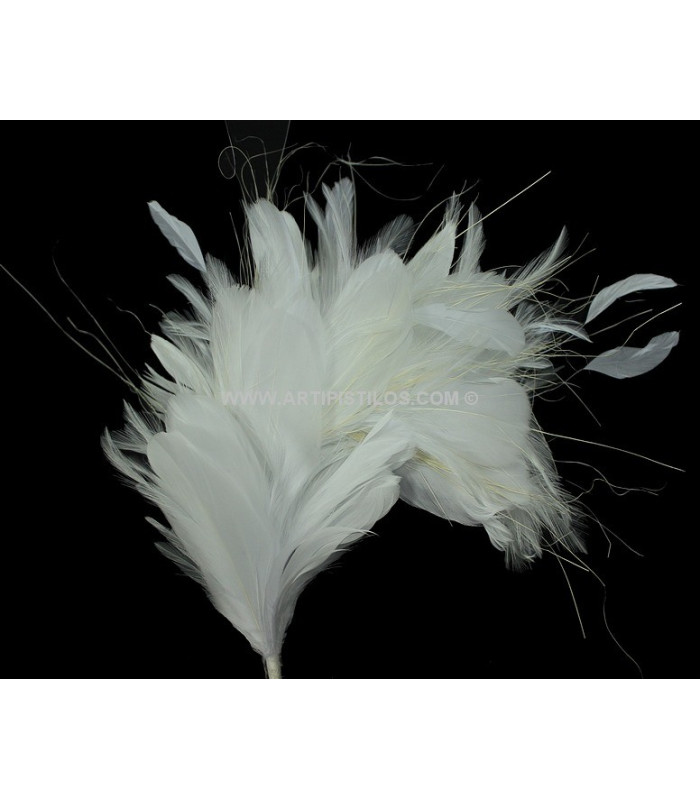 FEATHERS MOUNT 35 x 12 cm