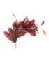 MONTAJE DE PLUMAS 35 x 12 cm
