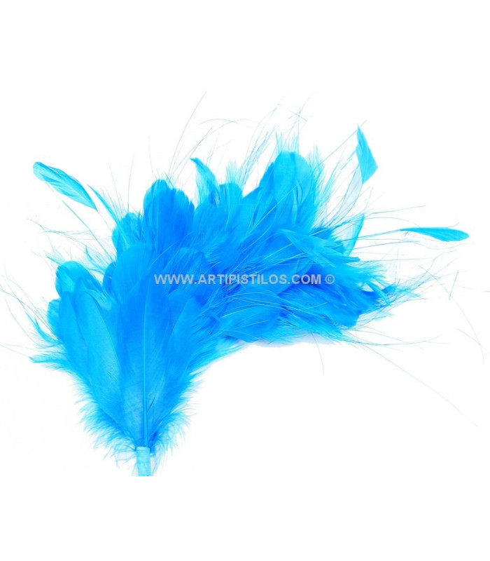 FEATHERS MOUNT 35 x 12 cm
