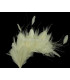 MONTAJE DE PLUMAS 35 x 12 cm