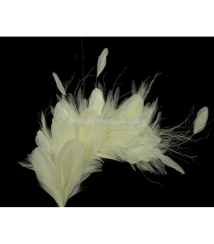 FEATHERS MOUNT 35 x 12 cm