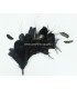 FEATHERS MOUNT 35 x 12 cm