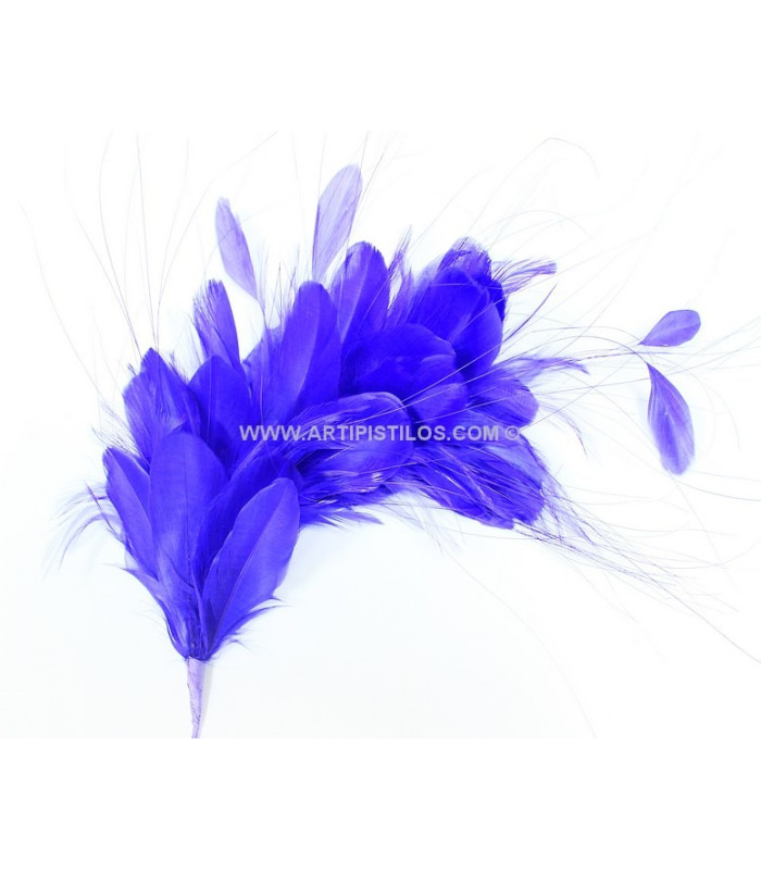 FEATHERS MOUNT 35 x 12 cm
