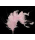MONTAJE DE PLUMAS 35 x 12 cm